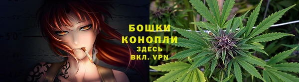 мдпв Гусь-Хрустальный