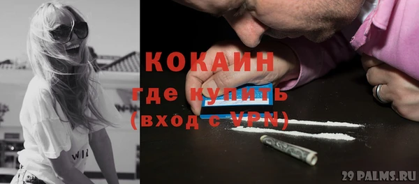 мдпв Гусь-Хрустальный