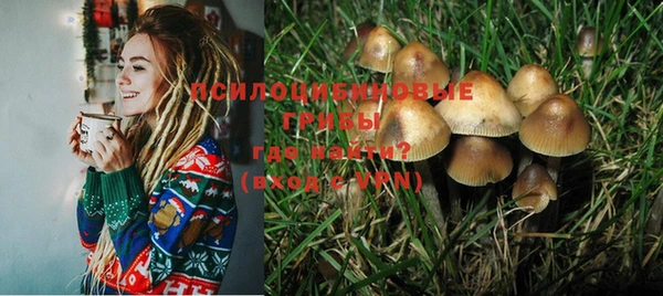 винт Гусев