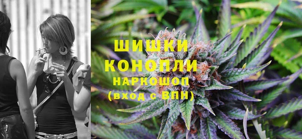 мдпв Гусь-Хрустальный