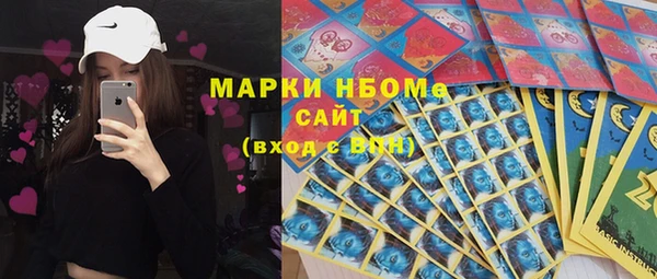 мдпв Гусь-Хрустальный