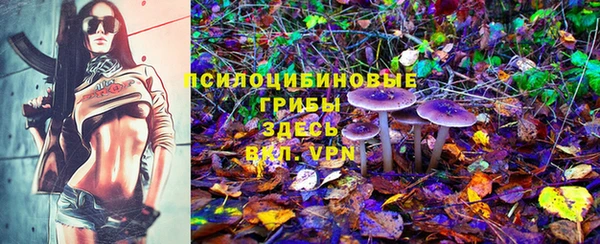 mix Гусиноозёрск