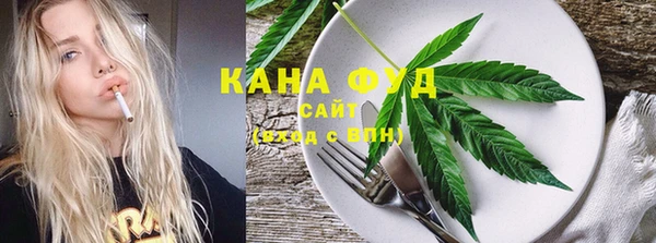 мдпв Гусь-Хрустальный