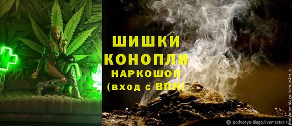 винт Гусев