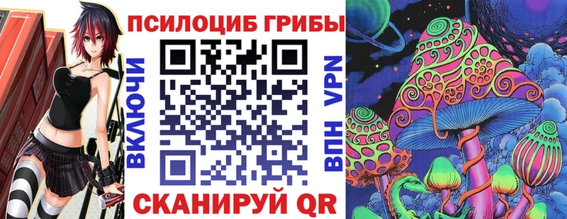 Галлюциногенные грибы Psilocybe  ссылка на мегу онион  Домодедово 